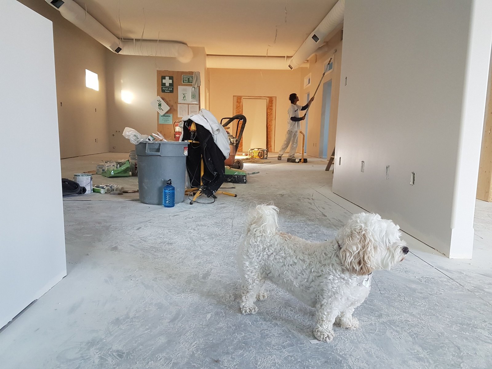 Interior undergoing structural drying and restoration