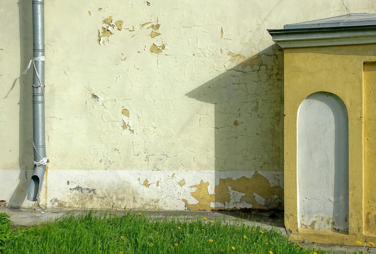 Damp interior wall showing early signs of mold growth