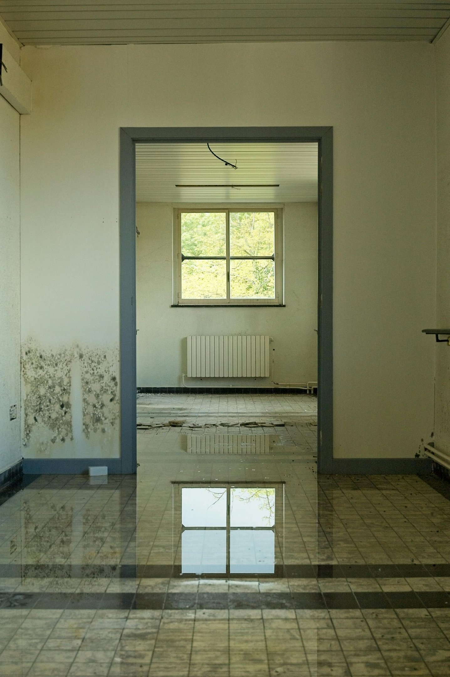Water pooling across a damaged interior floor